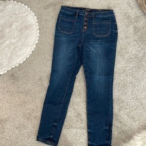 Judy Blue Skinny Jean